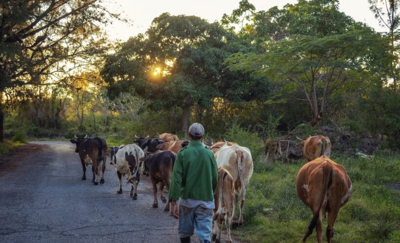 Impago a productores: el círculo vicioso de la deuda