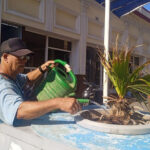 Matanzas: inician restauración de jardinería en calle patrimonial. Foto: Yenli Lemus Domínguez