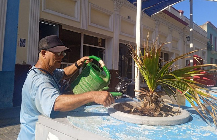 Matanzas: inician restauración de jardinería en calle patrimonial. Foto: Yenli Lemus Domínguez