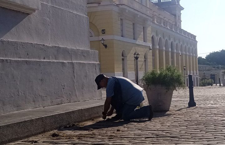 Matanzas: inician restauración de jardinería en calle patrimonial. Foto: Yenli Lemus Domínguez