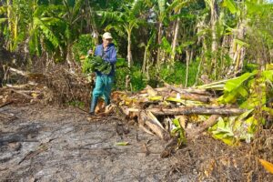 Acometen acciones de mantenimiento y reparación en estadio Victoria de Girón