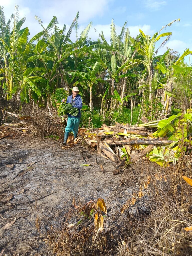 Acometen acciones de mantenimiento y reparación en estadio Victoria de Girón