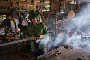 La dulzura del pantano