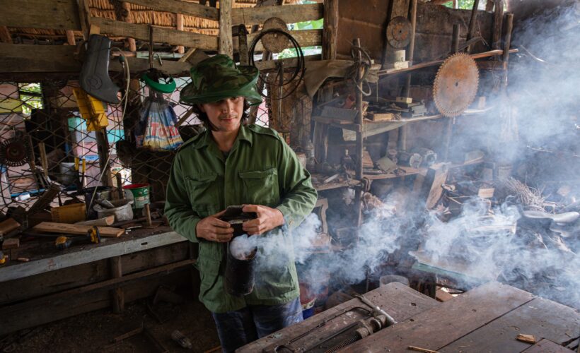 La dulzura del pantano