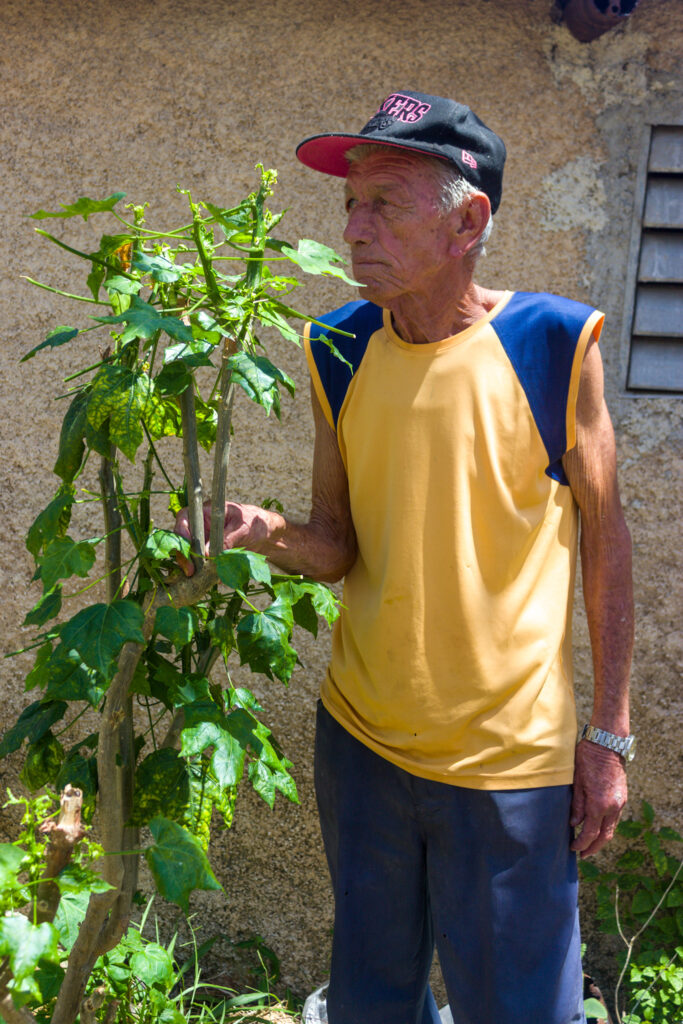 Villalonga, el don de curar