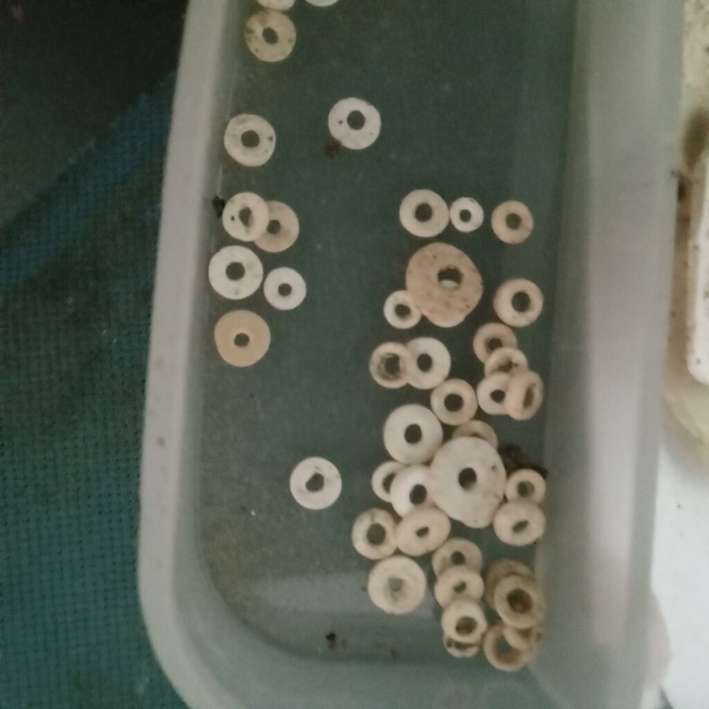Postales Matanceras: De los collares antiguos: microcuentas encontradas en Matanzas