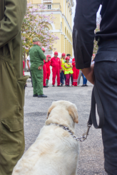 Bomberos y rescatistas: el ejercicio de salvar vidas. Foto: Izet Morales