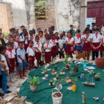 Trueque Verde, iniciativa ambientalista en Matanzas 