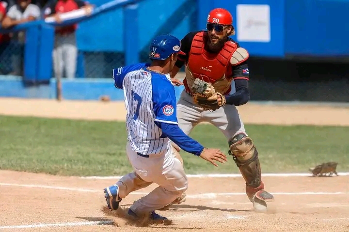 Cocodrilos con estirpe de campeones aún fuera del pantano. Foto: tomada de Jit Deportes