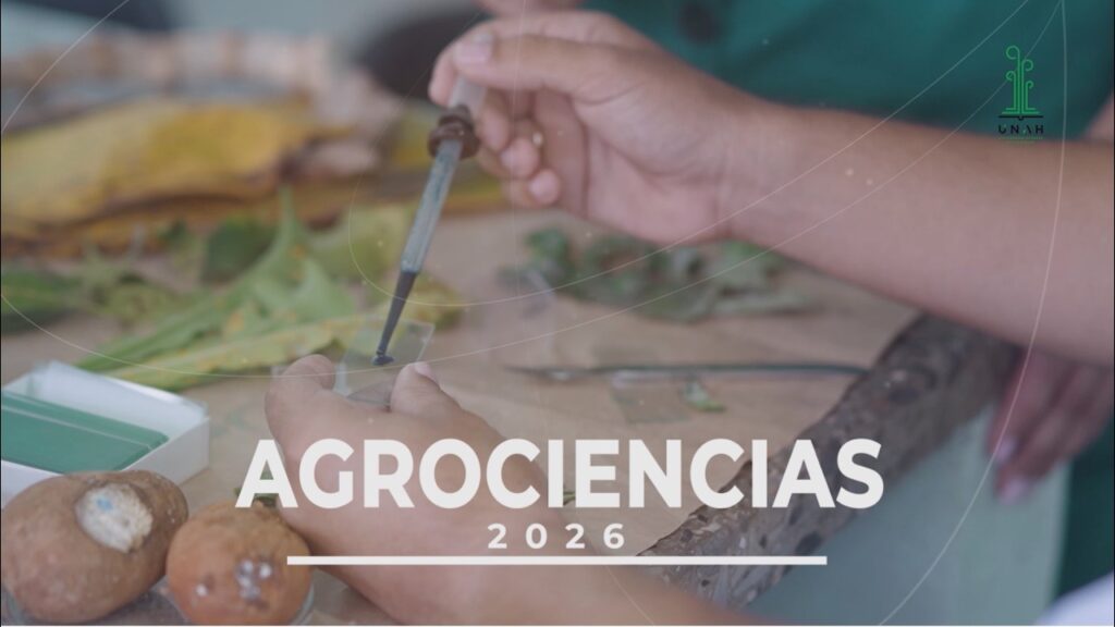 Participantes en el VI Congreso Internacional de las Ciencias Agropecuarias (Agrociencias 2026),