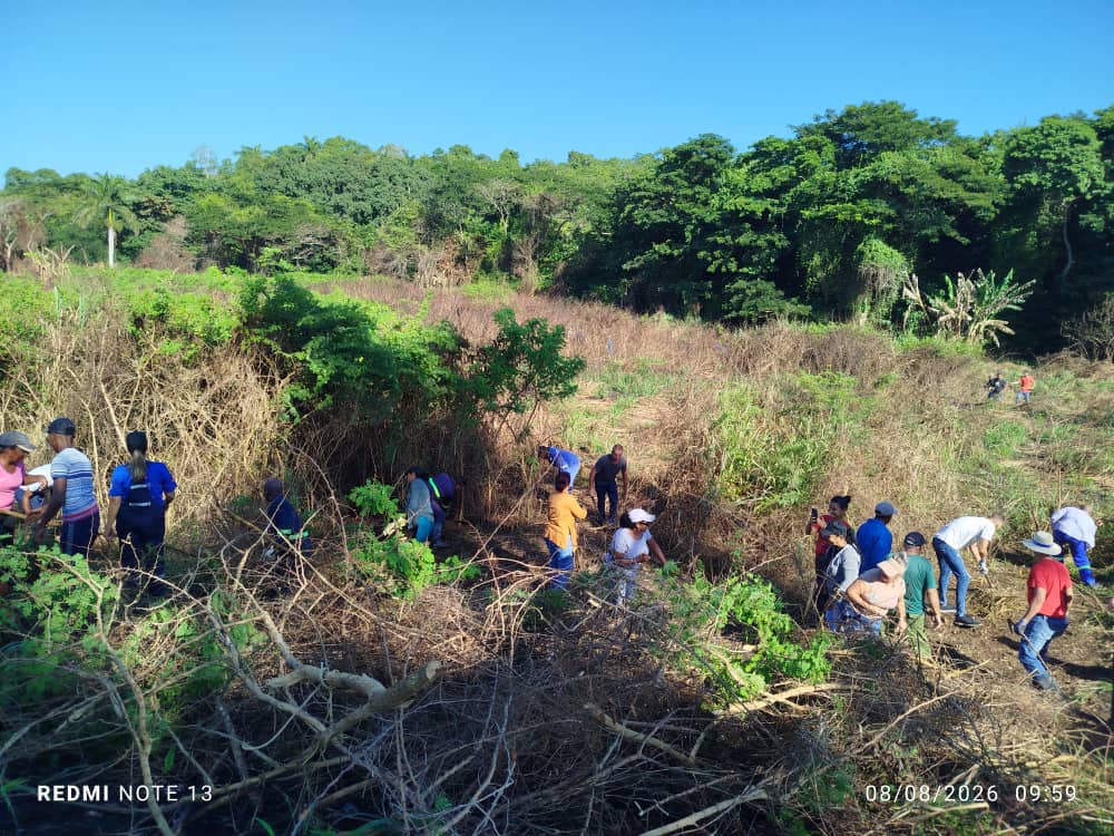 Trabajadores de Matanzas honran centenario de Fidel con jornada de trabajo voluntario