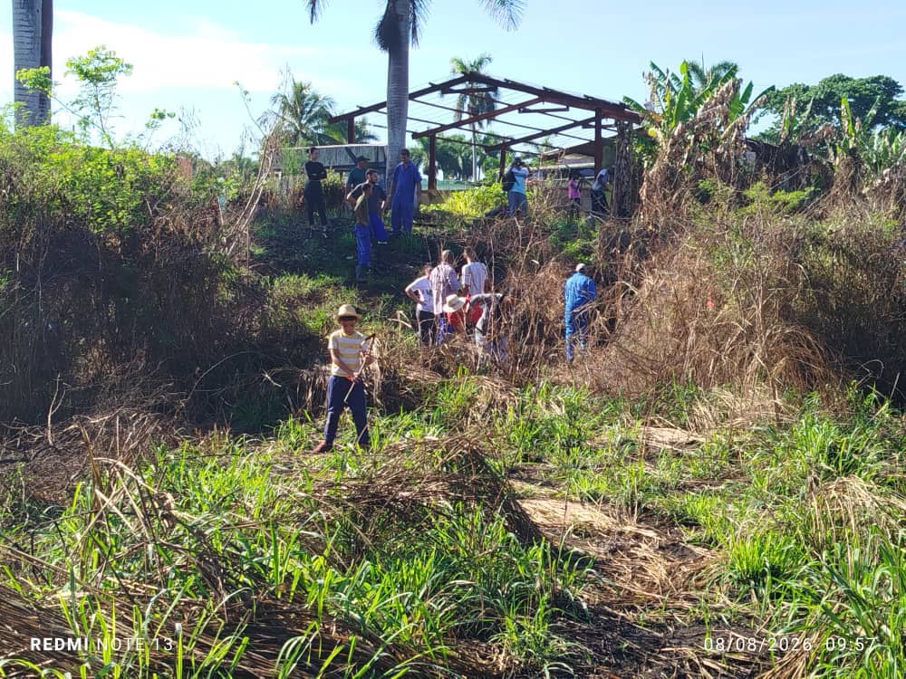 Trabajadores de Matanzas honran centenario de Fidel con jornada de trabajo voluntario