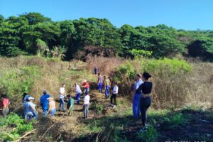 Trabajadores de Matanzas honran centenario de Fidel con jornada de trabajo voluntario