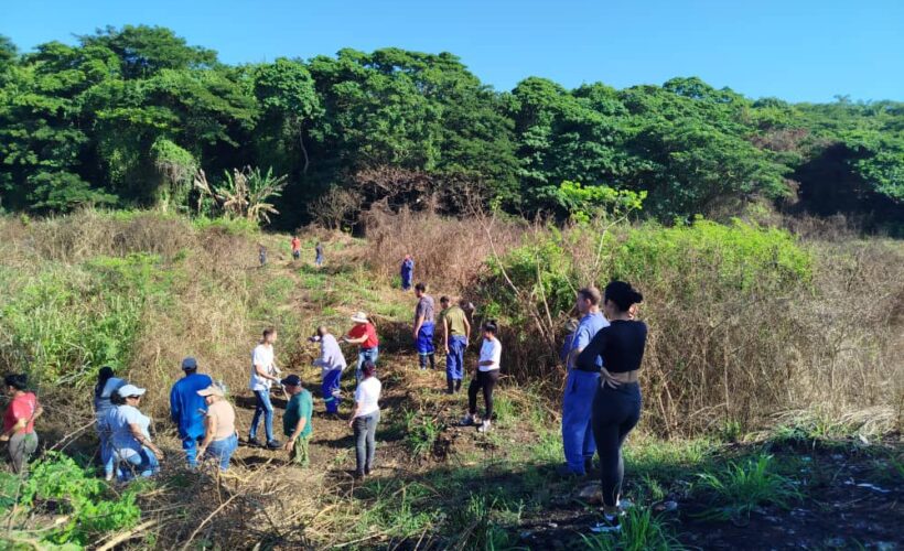 Trabajadores de Matanzas honran centenario de Fidel con jornada de trabajo voluntario
