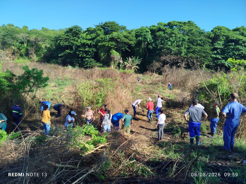 Trabajadores de Matanzas honran centenario de Fidel con jornada de trabajo voluntario