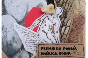 Disponible ya, convocatoria al Premio de Poesía América Bobia 2026