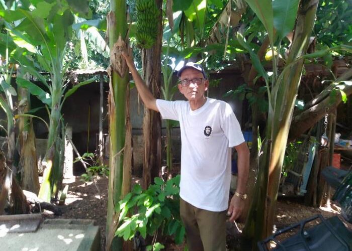 Raúl Montalvo-CDR