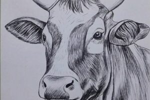 Postales Matanceras: Vacas fieras en la ciudad