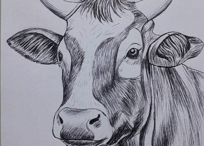 Postales Matanceras: Vacas fieras en la ciudad