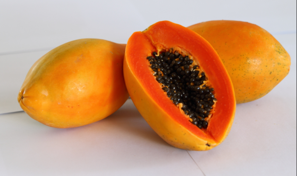 Innovar para producir más frutabomba en Matanzas