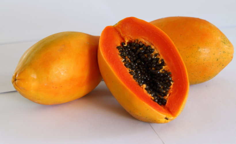 Innovar para producir más frutabomba en Matanzas