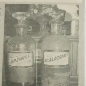 Postales Matanceras: Jarabe de hormigas y aceite de escorpión en el Museo Farmacéutico de Matanzas