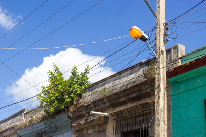Cámara Viva: Iluminando el día 