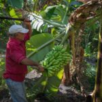Chequea vicepresidente Salvador Valdés Mesa estrategias productivas en Matanzas