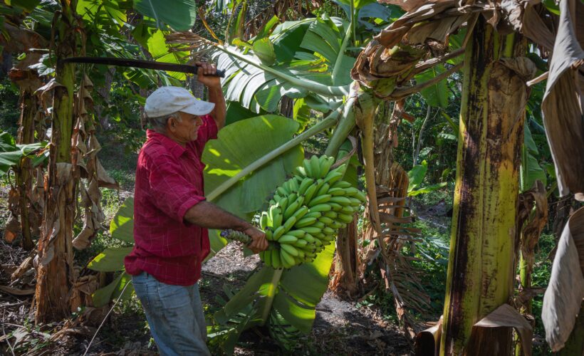 Chequea vicepresidente Salvador Valdés Mesa estrategias productivas en Matanzas